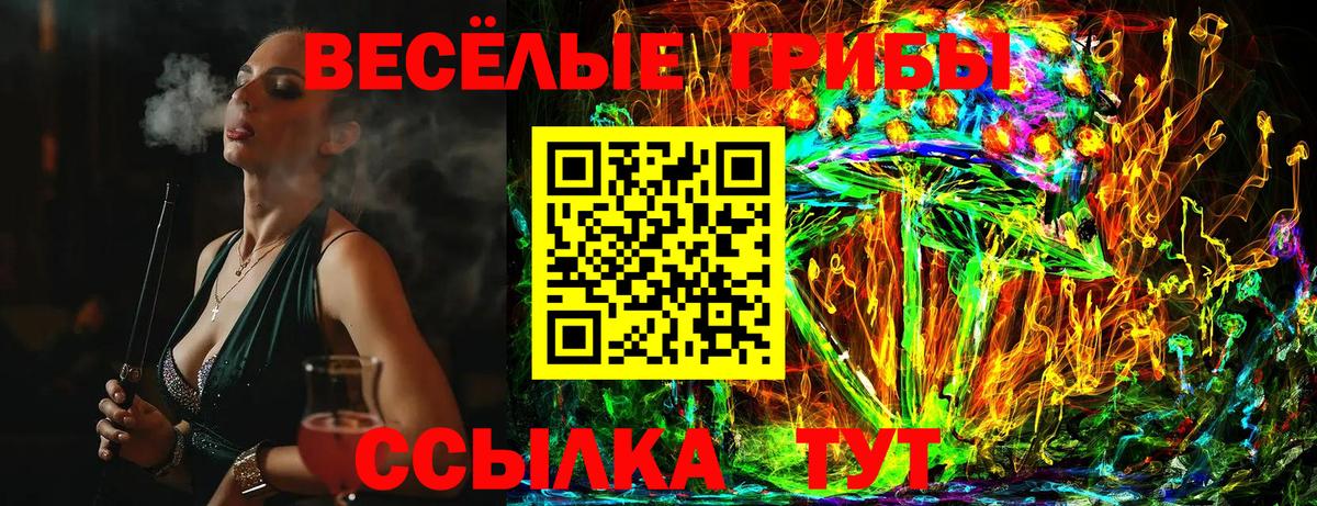 Галлюциногенные грибы MAGIC MUSHROOMS Истра