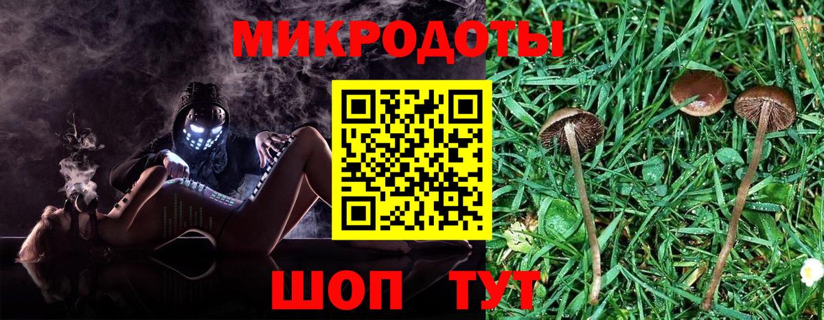 Псилоцибиновые грибы MAGIC MUSHROOMS  Вход с VPN  Истра 